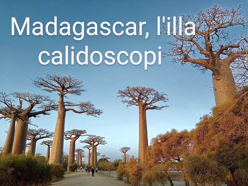 Madagascar, l'illa calidoscopi